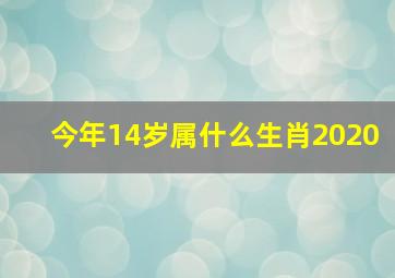 今年14岁属什么生肖2020