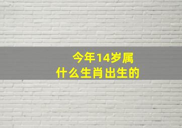 今年14岁属什么生肖出生的