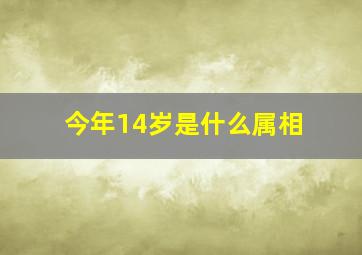 今年14岁是什么属相