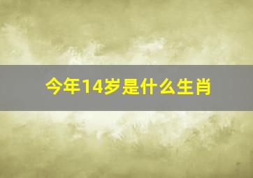 今年14岁是什么生肖