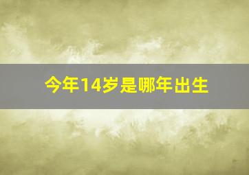 今年14岁是哪年出生