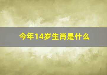 今年14岁生肖是什么