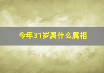 今年31岁属什么属相