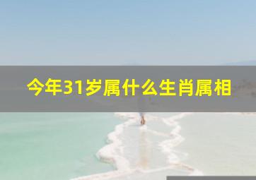 今年31岁属什么生肖属相