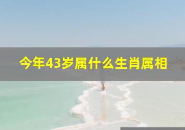 今年43岁属什么生肖属相