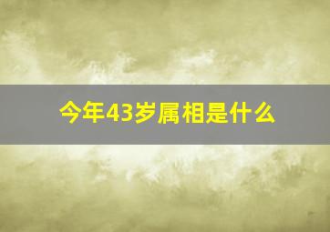 今年43岁属相是什么