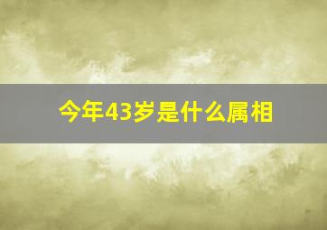 今年43岁是什么属相