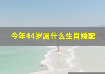 今年44岁属什么生肖婚配