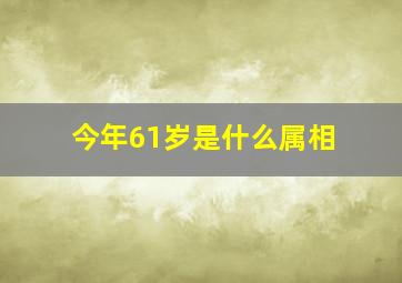 今年61岁是什么属相