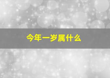 今年一岁属什么