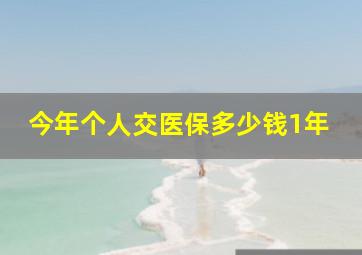 今年个人交医保多少钱1年