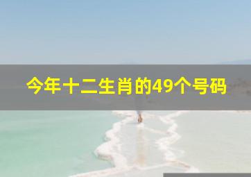 今年十二生肖的49个号码