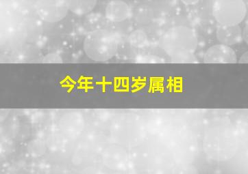 今年十四岁属相