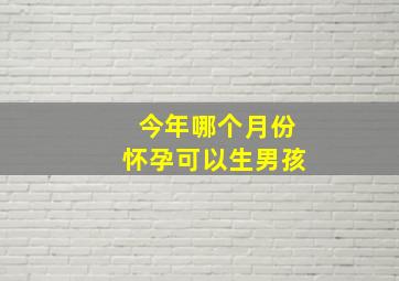 今年哪个月份怀孕可以生男孩