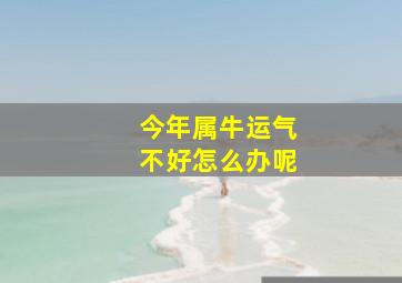 今年属牛运气不好怎么办呢