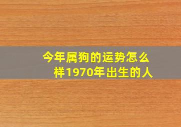 今年属狗的运势怎么样1970年出生的人