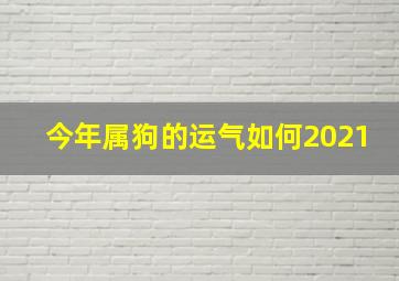 今年属狗的运气如何2021