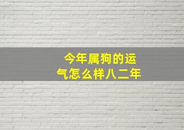 今年属狗的运气怎么样八二年