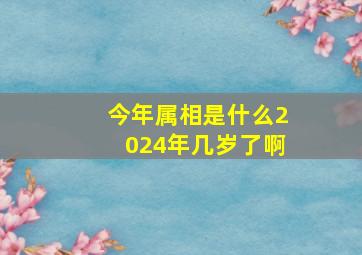 今年属相是什么2024年几岁了啊