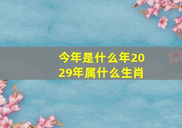 今年是什么年2029年属什么生肖