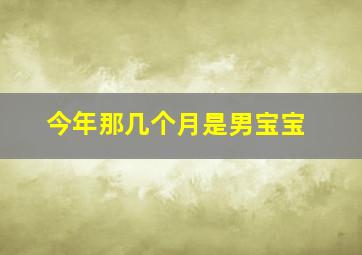 今年那几个月是男宝宝