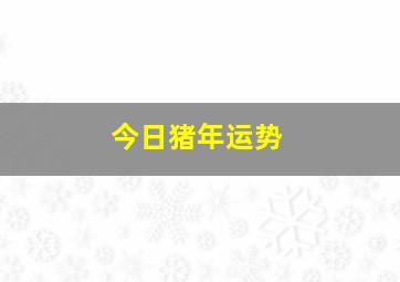 今日猪年运势