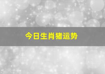 今日生肖猪运势