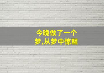 今晚做了一个梦,从梦中惊醒