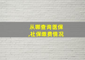 从哪查询医保,社保缴费情况