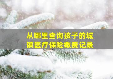 从哪里查询孩子的城镇医疗保险缴费记录