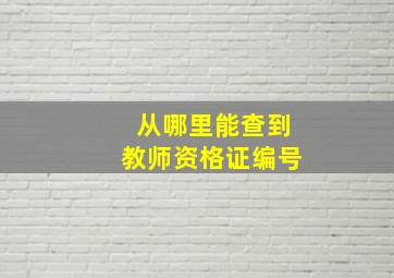 从哪里能查到教师资格证编号