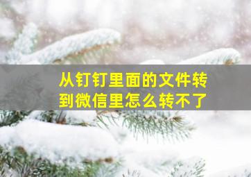 从钉钉里面的文件转到微信里怎么转不了