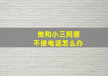 他和小三同居不接电话怎么办