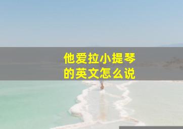 他爱拉小提琴的英文怎么说