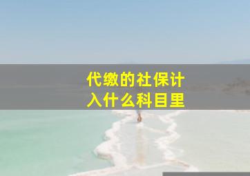 代缴的社保计入什么科目里