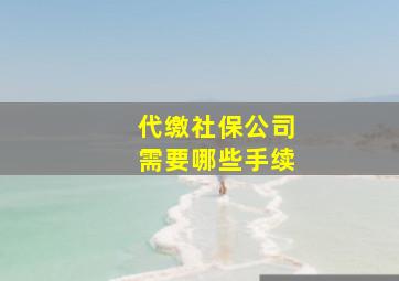 代缴社保公司需要哪些手续