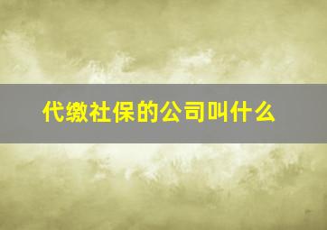 代缴社保的公司叫什么