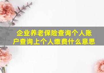 企业养老保险查询个人账户查询上个人缴费什么意思