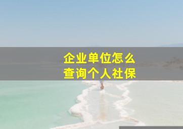 企业单位怎么查询个人社保