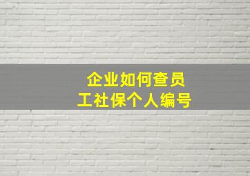 企业如何查员工社保个人编号