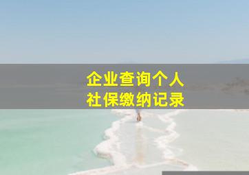 企业查询个人社保缴纳记录