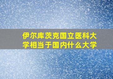 伊尔库茨克国立医科大学相当于国内什么大学