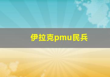 伊拉克pmu民兵