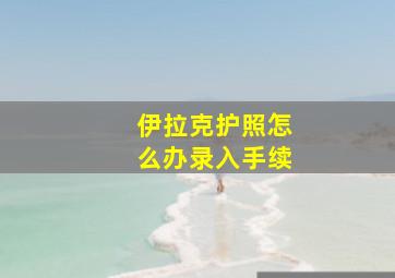 伊拉克护照怎么办录入手续