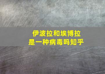 伊波拉和埃博拉是一种病毒吗知乎