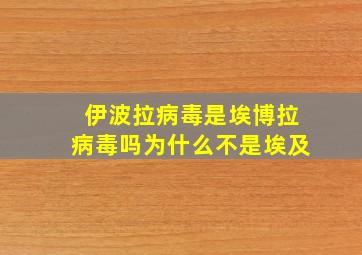 伊波拉病毒是埃博拉病毒吗为什么不是埃及