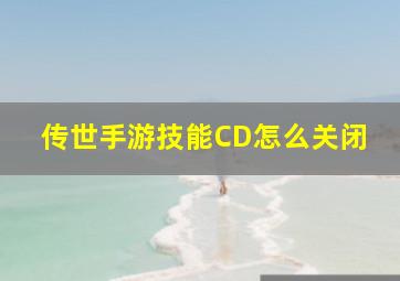 传世手游技能CD怎么关闭