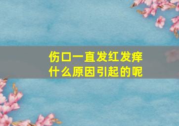 伤口一直发红发痒什么原因引起的呢