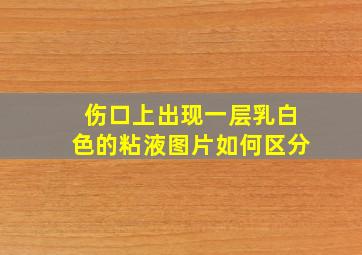 伤口上出现一层乳白色的粘液图片如何区分