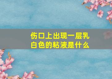 伤口上出现一层乳白色的粘液是什么